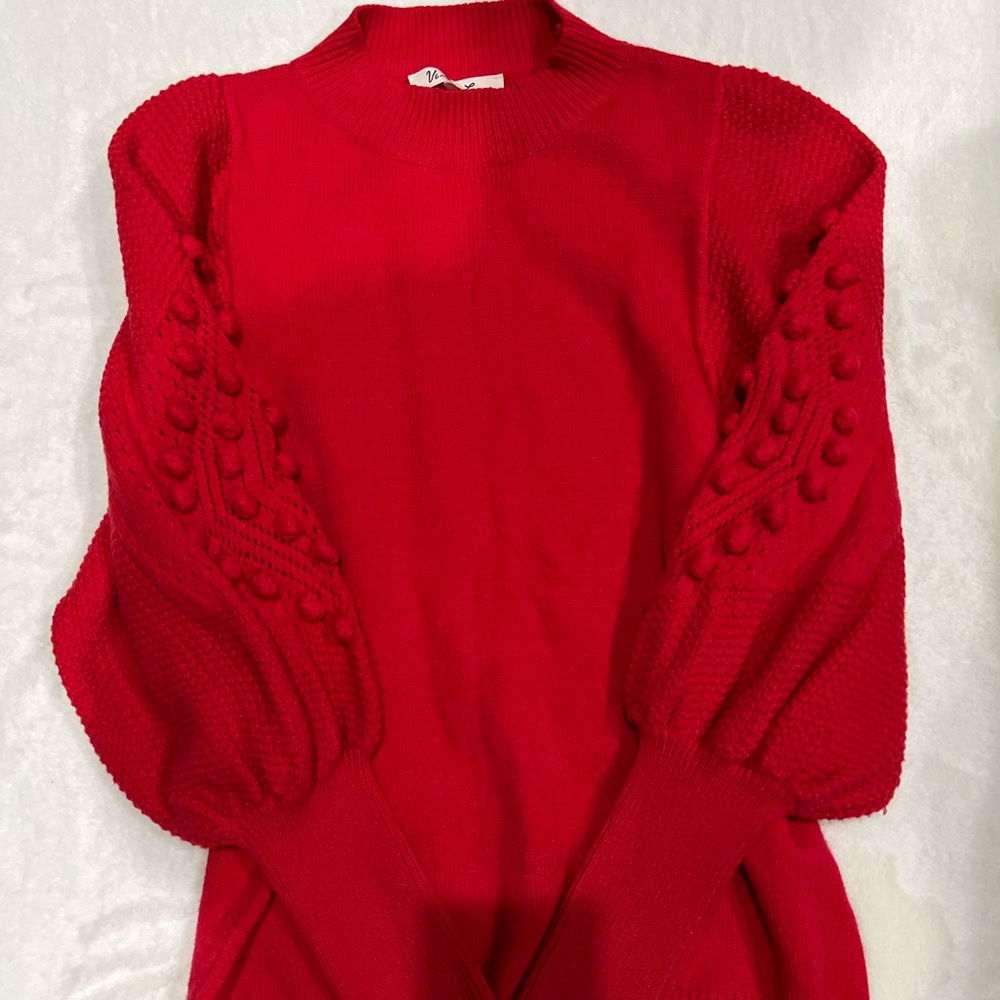 Vine & Love Vibrant Red Sweater with Textured Sleeves